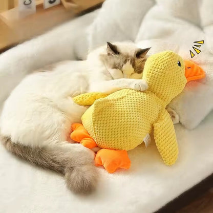 Peluche canard pour chat/chien